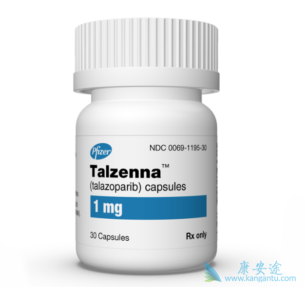 PARP抑制剂 PARP抑制剂