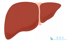 TAF���Ҹ��������½�չ��