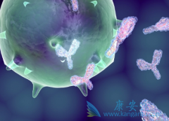 ����ż��ҩ������������ڰ��װ���