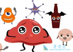 �������������𣿶Ա�����������Щ���ߣ�