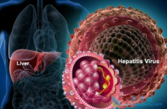 �Ҹβ���Я�������ڵĲ������Ŵ���