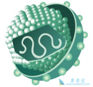 ������ҩ�����������������Ͳ�����