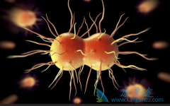 ���͸��ײ����������Ե�ԭ������Щ�����κ�������