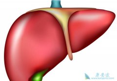 �����Ͳ�֢�ͱ��εĴ�������Щ��