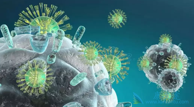 细胞免疫疗法;癌症 细胞免疫疗法;癌症