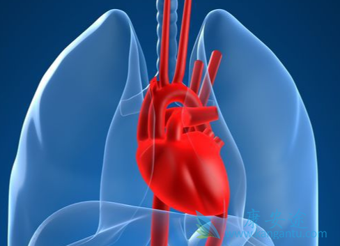 心脏支架手术后寿命;心脏支架