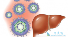 ���ε����Ʒ�������Щ���������δ���;����Ԥ���ֶ�