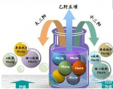 ʲô���Ҹδ��������Ҹλᱻ��Ⱦ��