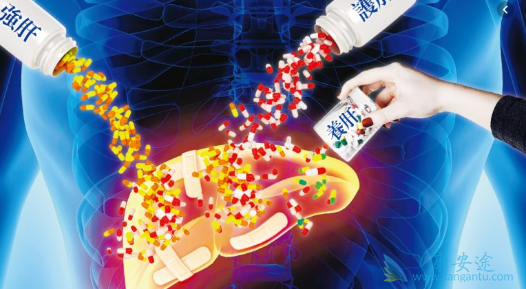 治疗乙肝;乙肝新药 治疗乙肝;乙肝新药