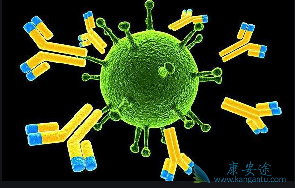 丙肝病毒抗体;丙肝抗体阳性 丙肝病毒抗体;丙肝抗体阳性