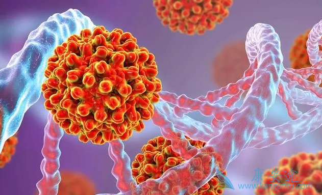 两对半对照表;乙肝 两对半对照表;乙肝