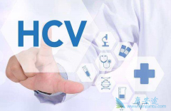 Ϊ�α��ο������Ժ�Ҫ�����β�����