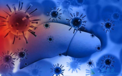 ��������Ҫע����������������Ƶ�ԭ��