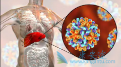 �Ҹδ��������κ���