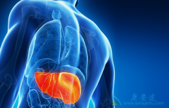 ���ε�������Ʒ�����ʲô�����γɸ�Ӳ����