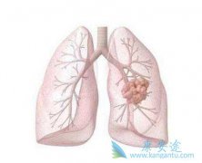 �ΰ���ת����ʲô?�����κ���