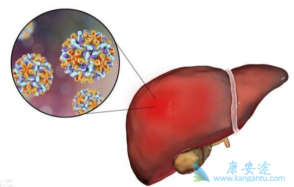 乙肝;乙肝核心抗体阳性是什么意思 乙肝;乙肝核心抗体阳性是什么意思