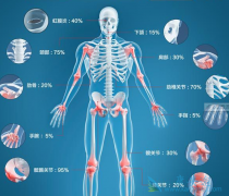 �ս𵥿������κ�ǿֱ�Լ�������