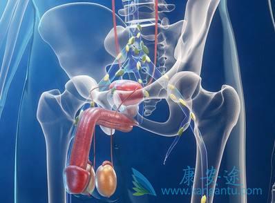 前列腺癌 前列腺癌