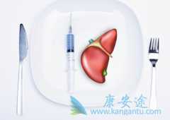 ���ο���������ʲô��˼������������