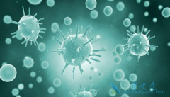 �Ҹ�С������Ⱦ���Ҹλ������������Ҹβ�����