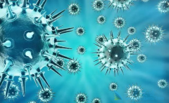 �Ҹδ��������κ����Ҹβ�������������