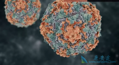 ���ο������ƺ��𣿱��β�����һ��ʲô������