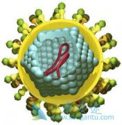 ���δ�Ⱦ�ķ�ʽ��ʲô���������κ���