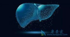 ���δ�������ʲô�����δ���;������Щ��