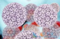 ����������Ч����ô�����������Ʒ�������Щ��