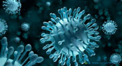 ������������Щ���������β������Գ���������