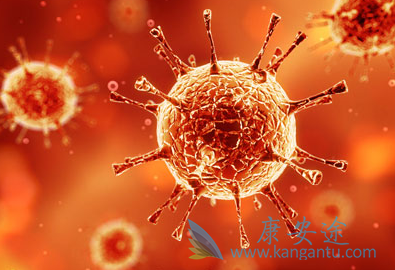 丙肝怎么治疗;丙肝病毒 丙肝怎么治疗;丙肝病毒