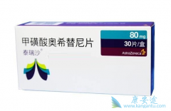 �ΰ�EGFRҩ����ôѡ����ϣ������ҩ������Σ�