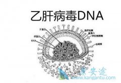 �Ҹα��濹��������ʲô��˼���Ҹα��濹��������