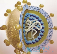 �Ҹ����԰���ձ���ô�����Ҹα��濹���������ʲô��˼��