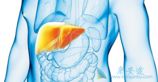 乙肝两对半对照表;乙肝抗病毒治疗 乙肝两对半对照表;乙肝抗病毒治疗