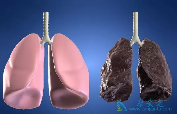 乙肝病毒携带者传染吗;TAF 乙肝病毒携带者传染吗;TAF