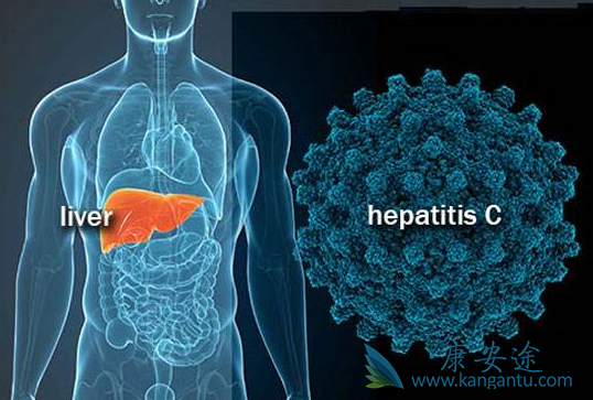 丙肝的治疗 丙肝的治疗