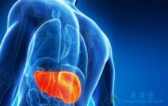 �ϲ�HIV�ı������κ�������Щ������ҩ����ã�