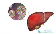 �����Ҹβ���ʹ���ߵ������Ʒ�����Ч��