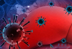 �Ҹα��濹ԭ���Ի��п������Ҹβ����������Ⱦ