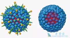 �Ҹδ���;������Щ���Ҹα��濹��������Ҫ����������