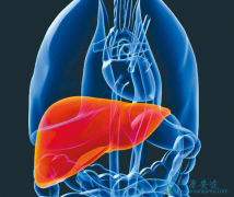 �Ҹδ�������Ⱦ����Ҫ��������Ҹβ�����