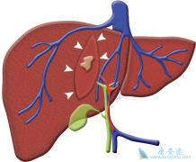 ���ε�Σ������Щ�����δ���;����ʲô��