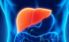 ���͸�����������Ⱦ�ģ����β�������;������Щ��