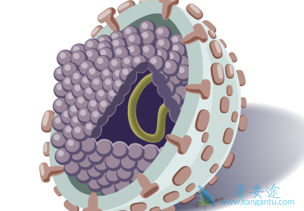 丙肝可以治愈吗 丙肝可以治愈吗