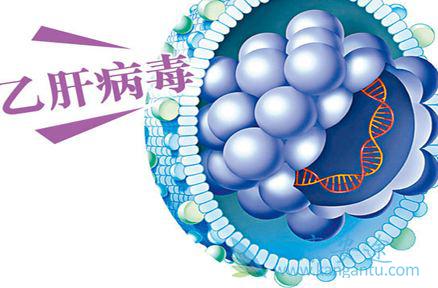 乙肝病毒传播途径 乙肝病毒传播途径