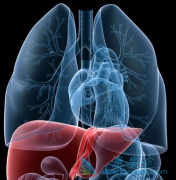 ĸ��ι�����Ҹδ�Ⱦ;����ĸ���е��Ҹβ�������