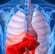 ��ô�����ҸΣ������Ҹβ�������Ӧ����ô����