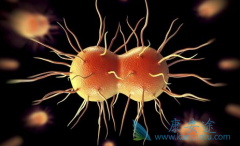 ��������֢״����Щ��������Ҫ������